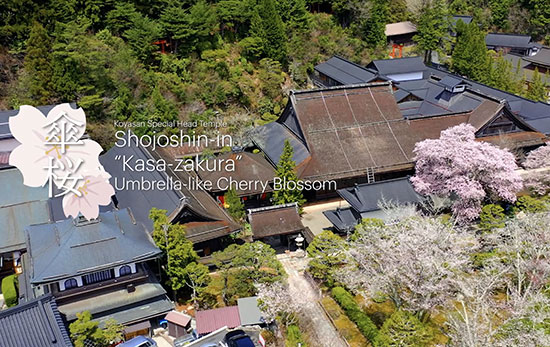 清浄心院高YouTube